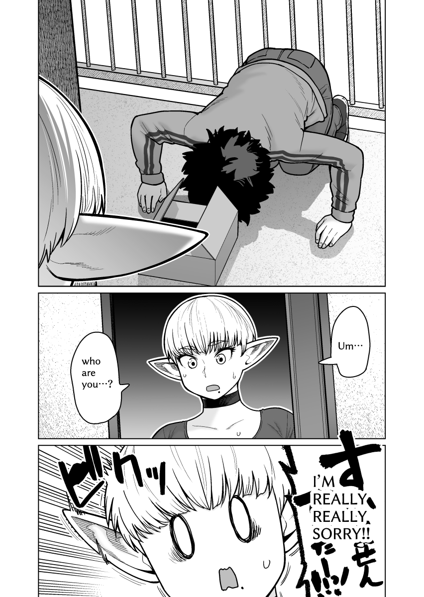 The Neighbor: Former Swordmaster Elf!! The Neighbor: Former Swordmaster Elf!!