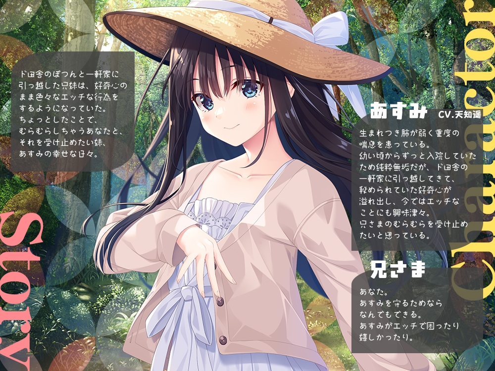 【2025年09月28日迄限定立ち絵集】兄さまのむらむらした気持ちを全部受け止めたい妹 【2025年09月28日迄限定立ち絵集】兄さまのむらむらした気持ちを全部受け止めたい妹