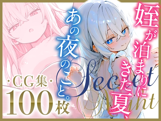 姪が泊まりにきた夏、あの夜のこと