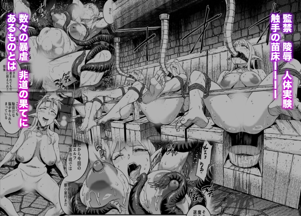 ELVEN BIRTH 画像3