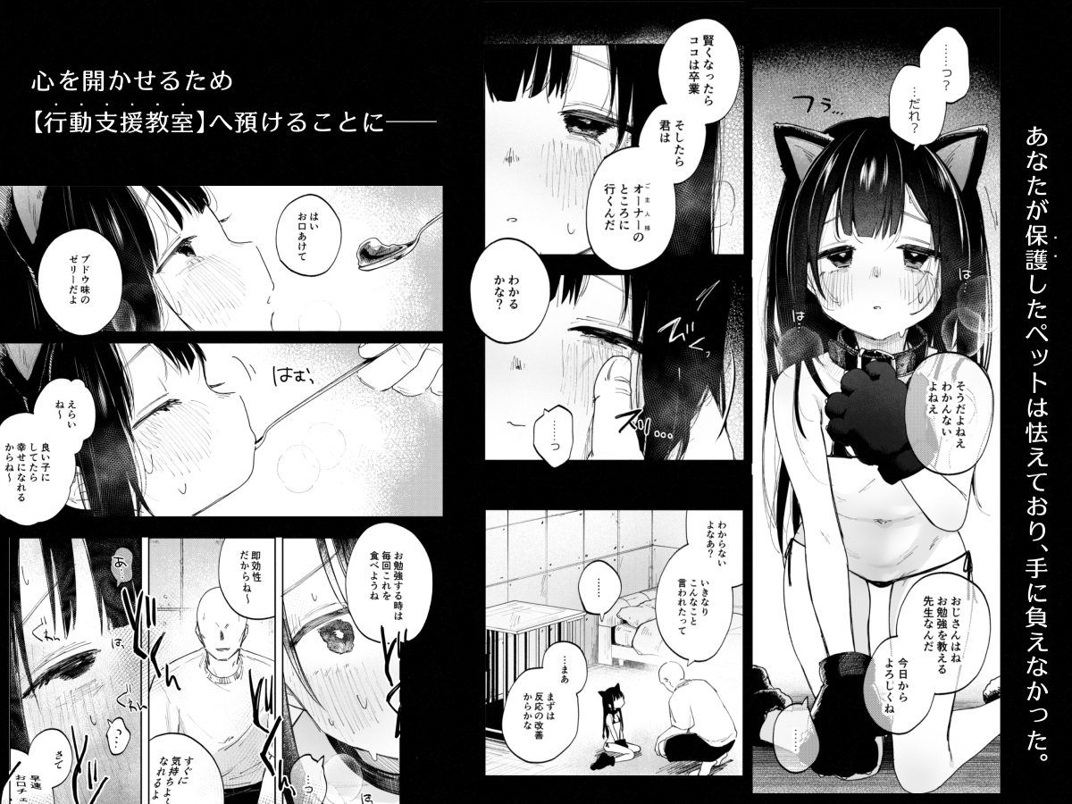 調整記録 ご主人様(あなた)の元へ届くまで 画像2