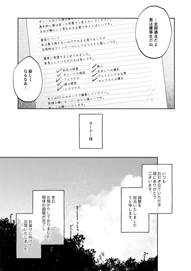 調整記録 ご主人様(あなた)の元へ届くまで 画像4