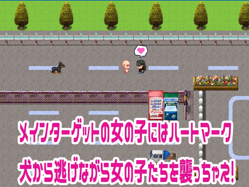 サンプル画像