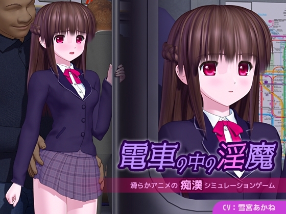 電車の中の淫魔