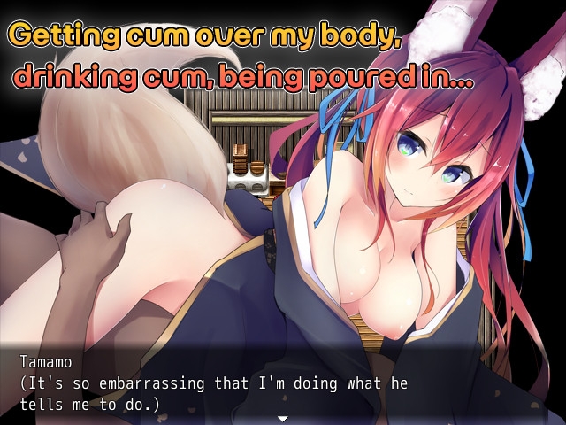 The Seal Master of Tamamo village -Spend the night with me!- The Seal Master of Tamamo village -Spend the night with me!-