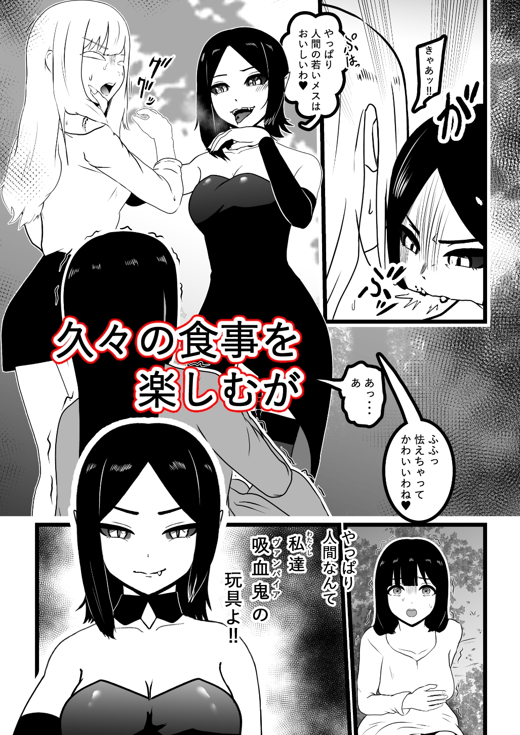 ヴァンパレイド9 ～吸血鬼 三姉妹 脱走編～ 画像5