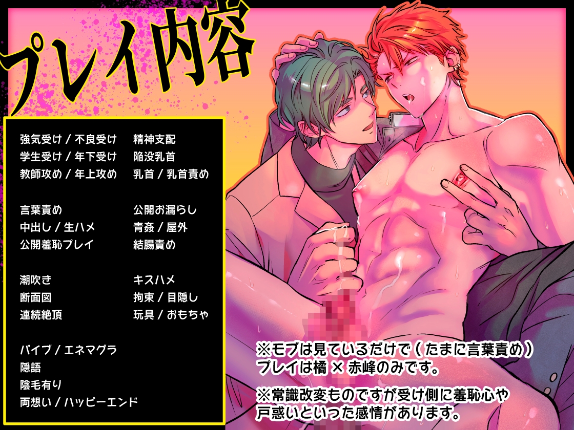 -常識改変-異常な日常 [生意気ヤンキー1ヶ月間犯し放題]【ボイスドラマ版】 画像2