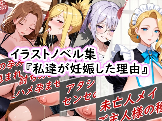 イラストノベル集『私達が妊娠した理由』