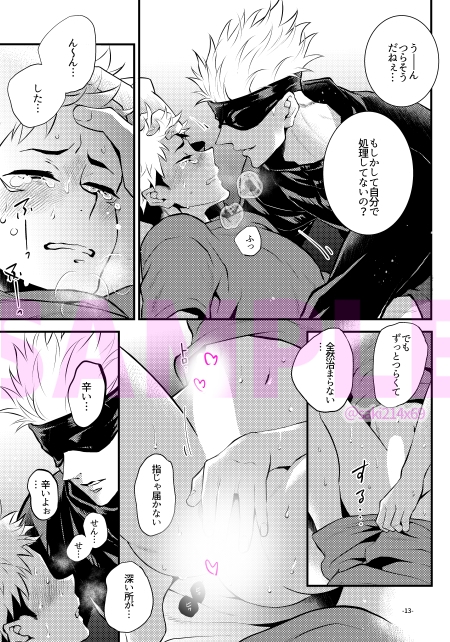 高純度セクシャルディザイアー 画像2