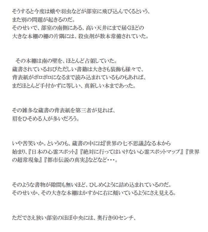 彷徨える村 画像10