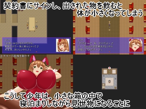 BBフェスティバル 画像2
