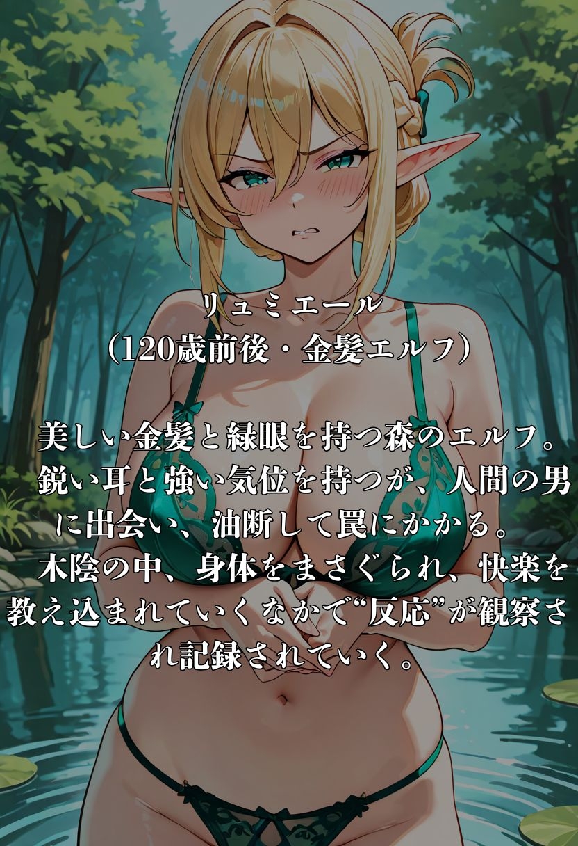 はぐれエルフの調教日記 画像1