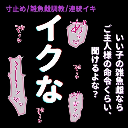 【拘束/耳舐め/連続絶頂】ご褒美でイケない雑魚雌に、お仕置き寸止め調教