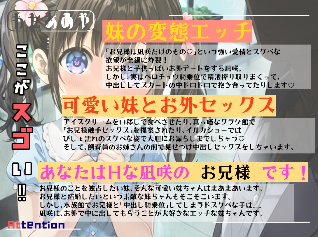 性欲がつよいドスケベな妹と水族館へ行こう！ 【近親相〇、屋外エッチ、見せつけプレイ】 画像2