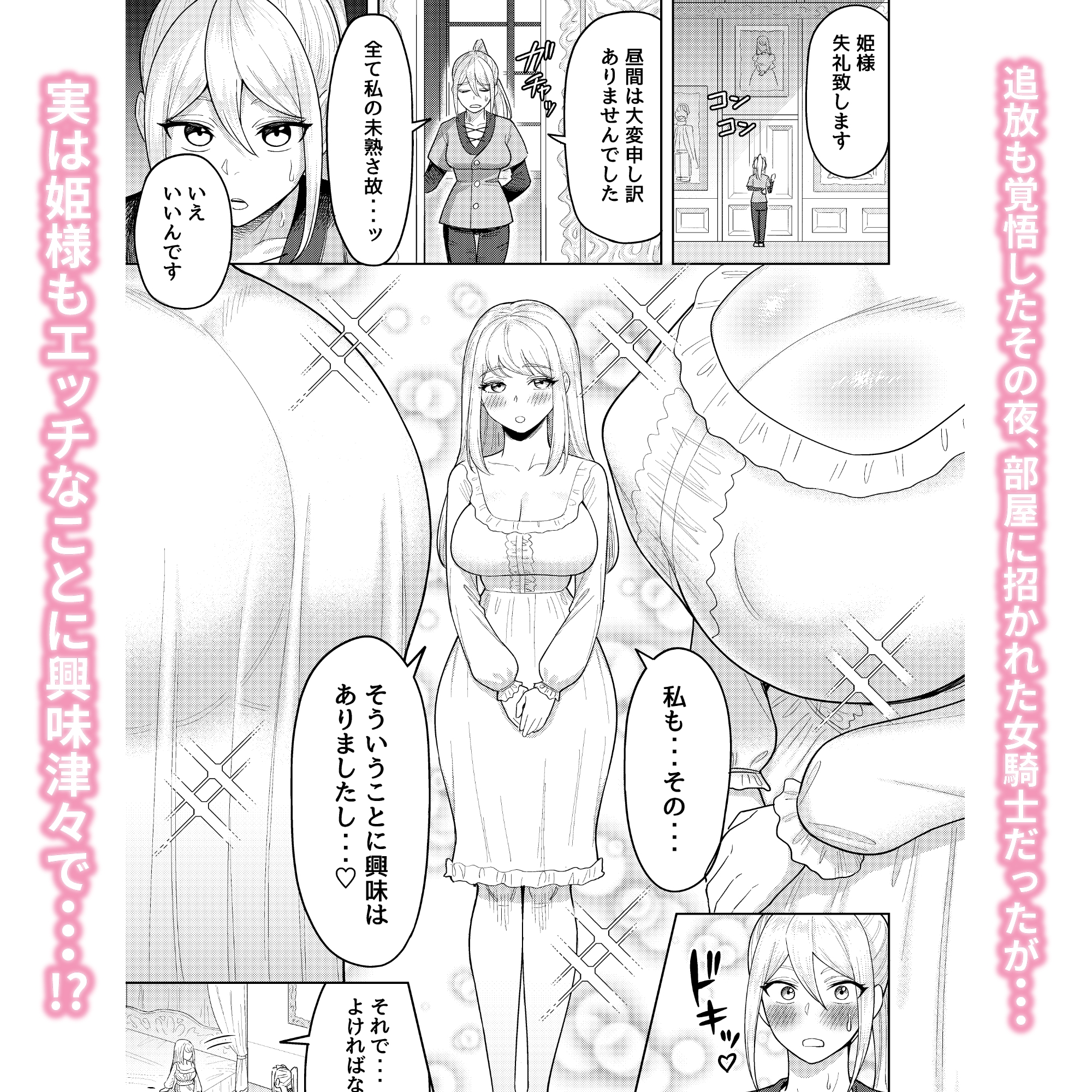 ふたなり女騎士とメス姫 画像4