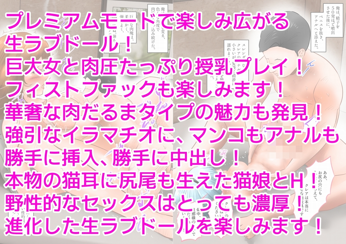 生ラブドールで色んな中出しプレイを楽しんだ。 下巻 画像10
