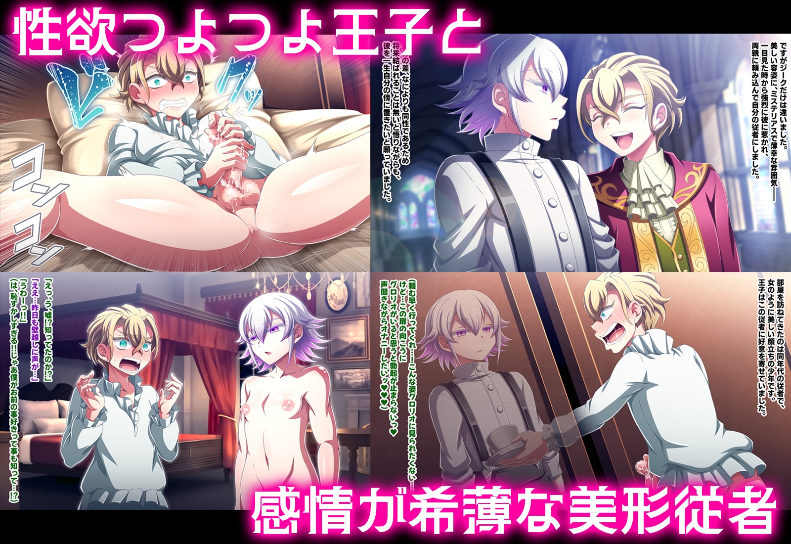 絶倫王子と無表情従者の性処理から始まる純愛 画像2