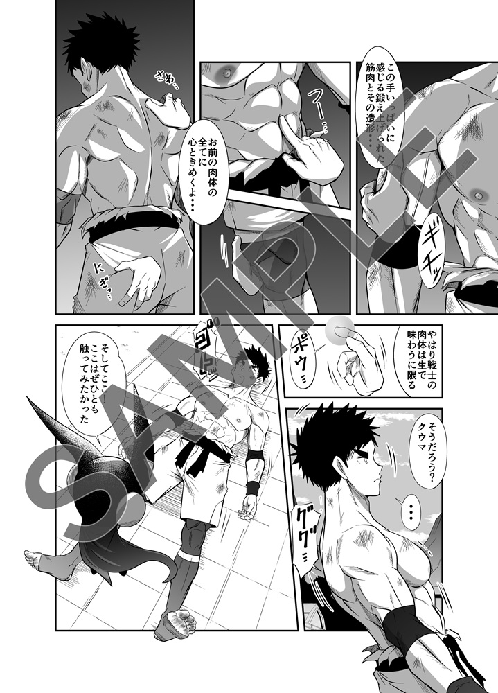 ヌードソルジャープラス