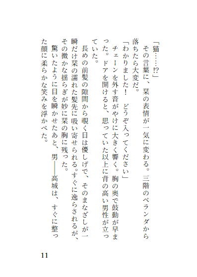 わたしの部屋を覗いていた男に侵入されてイヤだと言ったのにイカされました