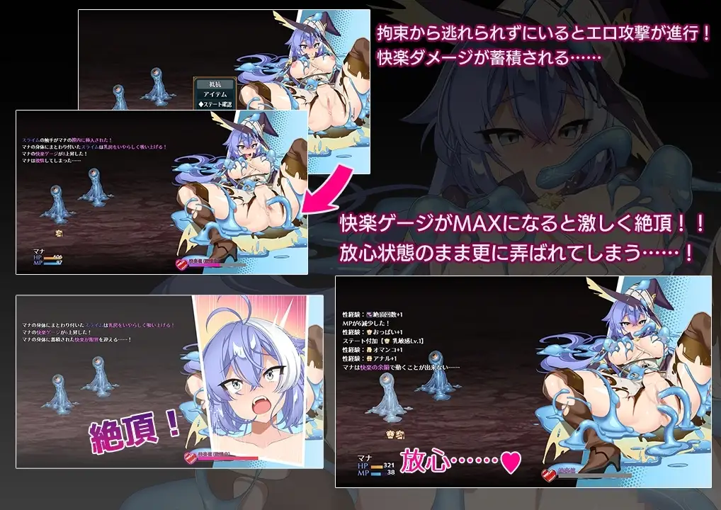 sub-image_1