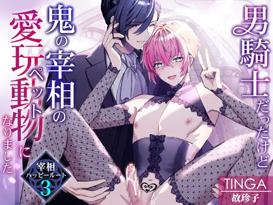 男騎士だったけど鬼の宰相の愛玩動物(ペット)になりました(3)の表紙画像