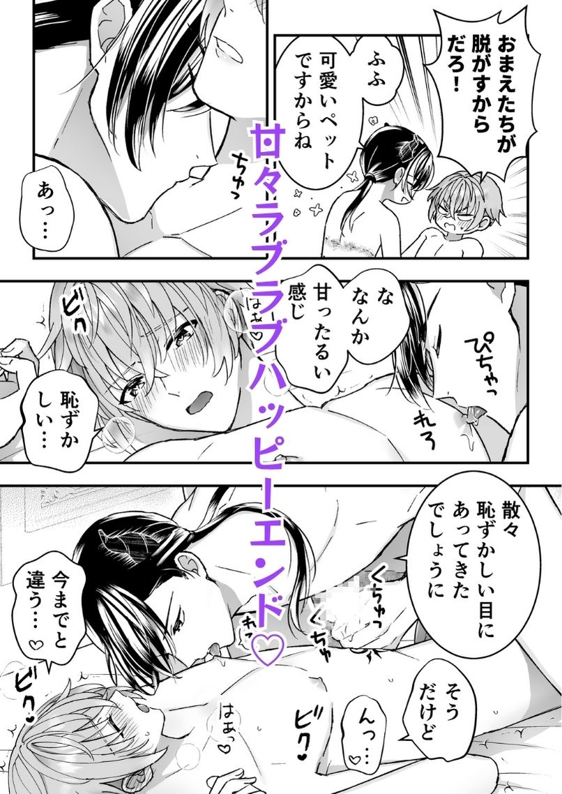 男騎士だったけど鬼の宰相の愛玩動物(ペット)になりました(3)