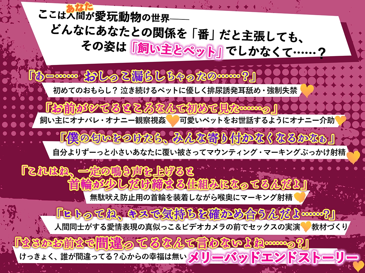 【意思疎通不可能?】迷子のヒトを探しています【人間=ペットの世界で“元”飼い主のオスウサギが行方不明だったあなたを保護しました】 画像5