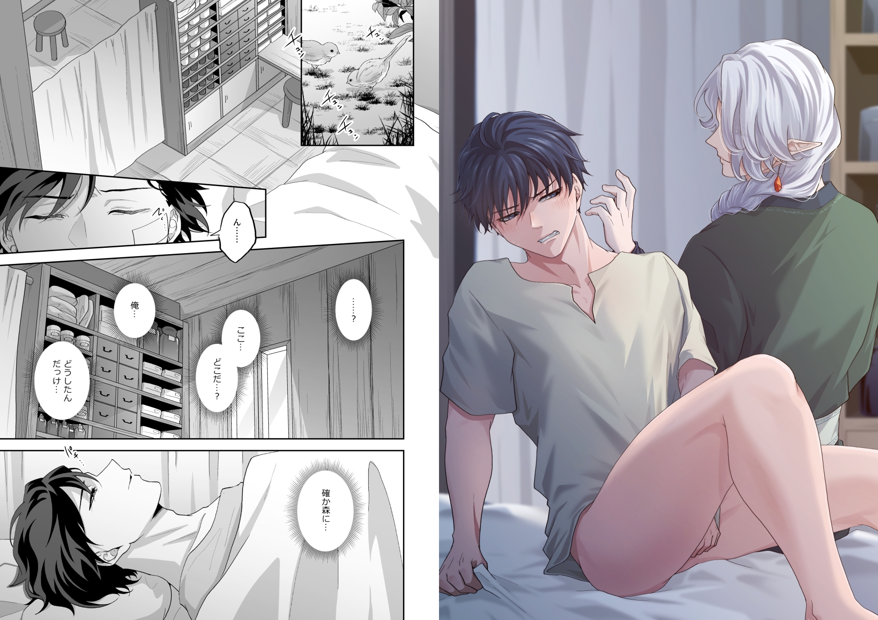 異種姦FANTASY～エルフの治療編～ 画像1