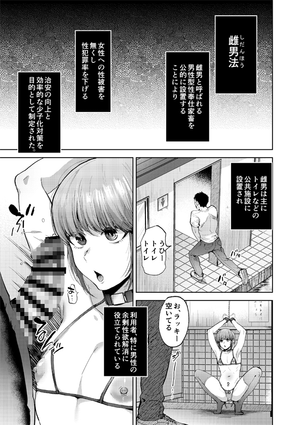 雌男法 社会に活きる男性型性奉仕家畜 画像1