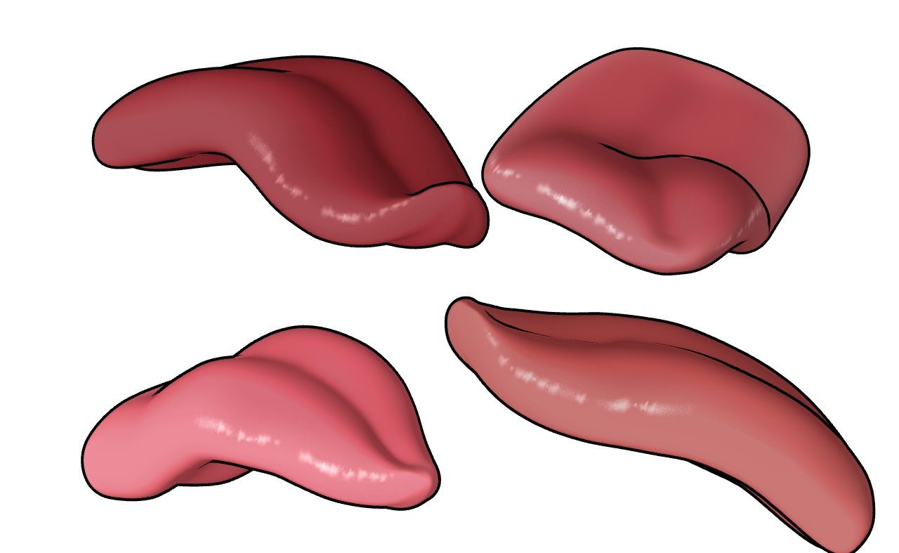 3D Tongue
