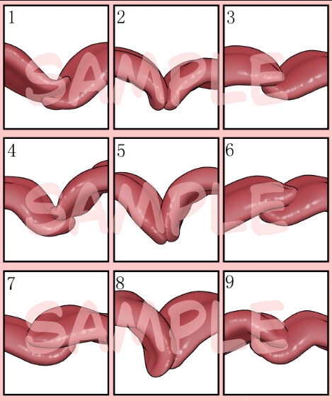 3D Tongue