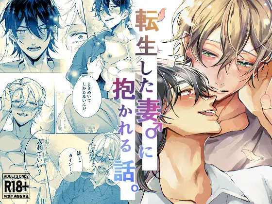 転生した妻♂に抱かれる話。の表紙画像