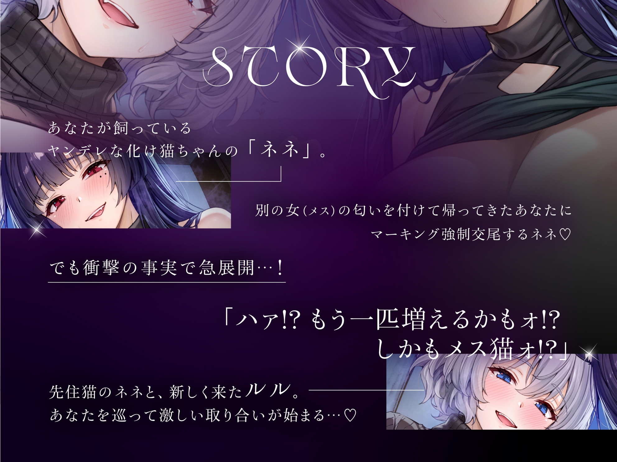【本編対応CGイラスト200枚以上】うちのヤンデレな飼い猫ちゃん×2にメチャクチャに搾られちゃう話【Wハーレム】 画像8
