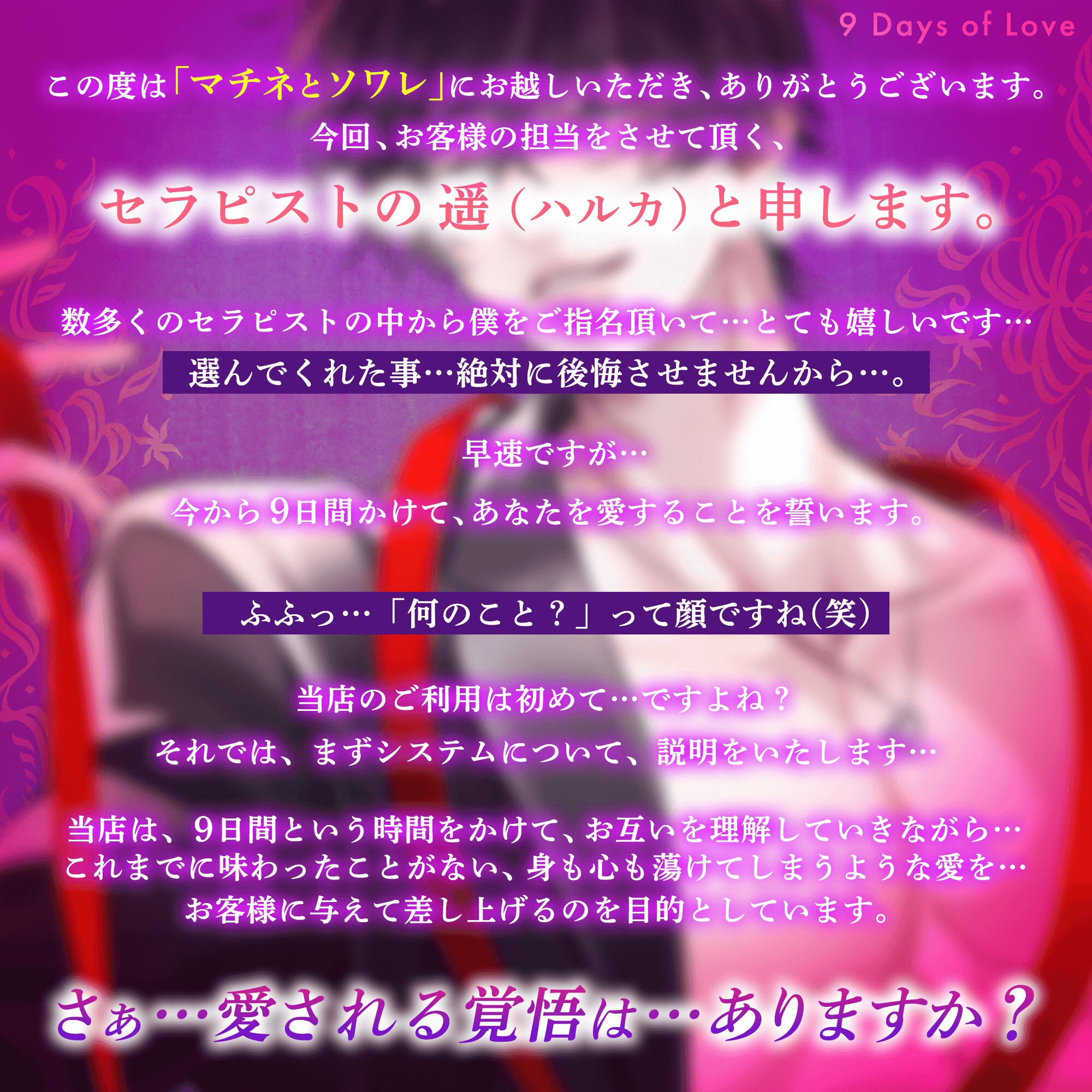 【愛することを…】9日間のラブストーリー♡【誓います。】 〜 身も心も蕩けるような溺愛の時間♡ 〜 画像3