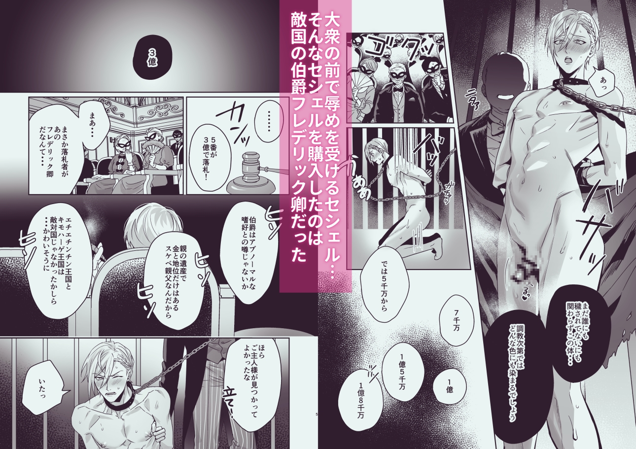 変態伯爵のセックスドール 画像2