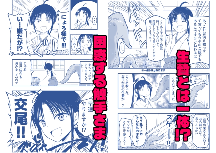 触手は贄に理解らせたい！ 画像2