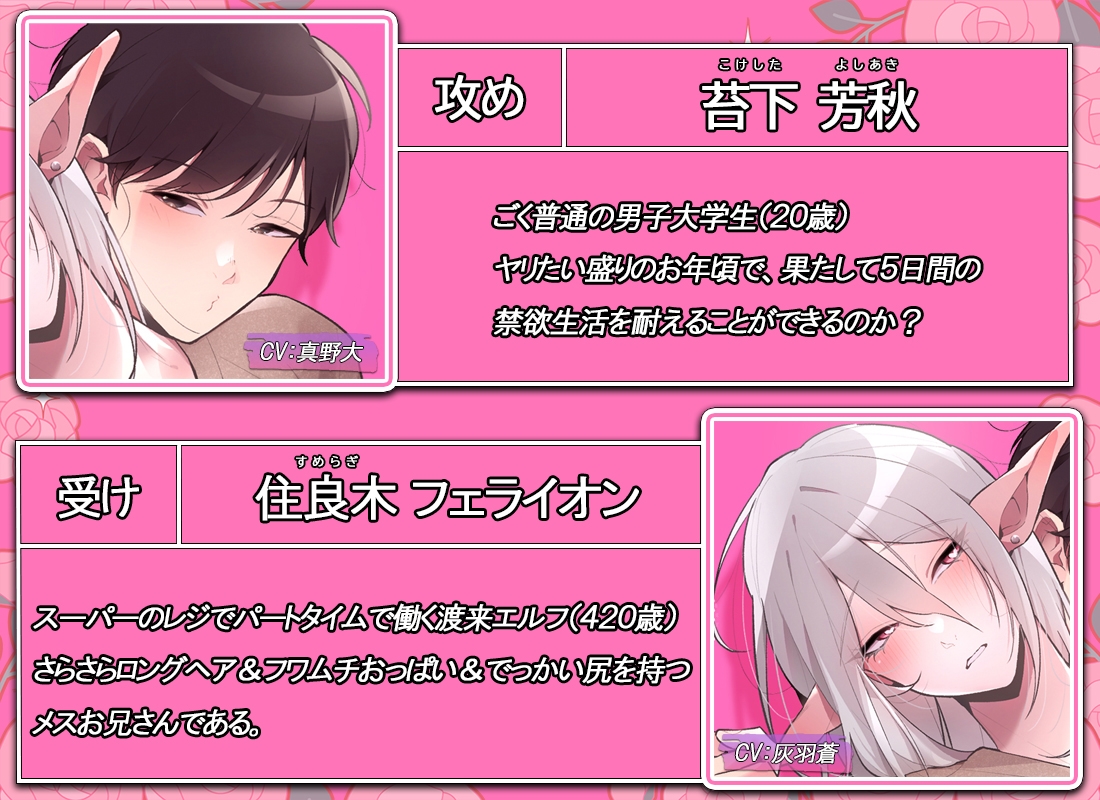 同棲中のエルフの(メス)お兄さんとポリネシアンセックス【ボイス版】 画像2