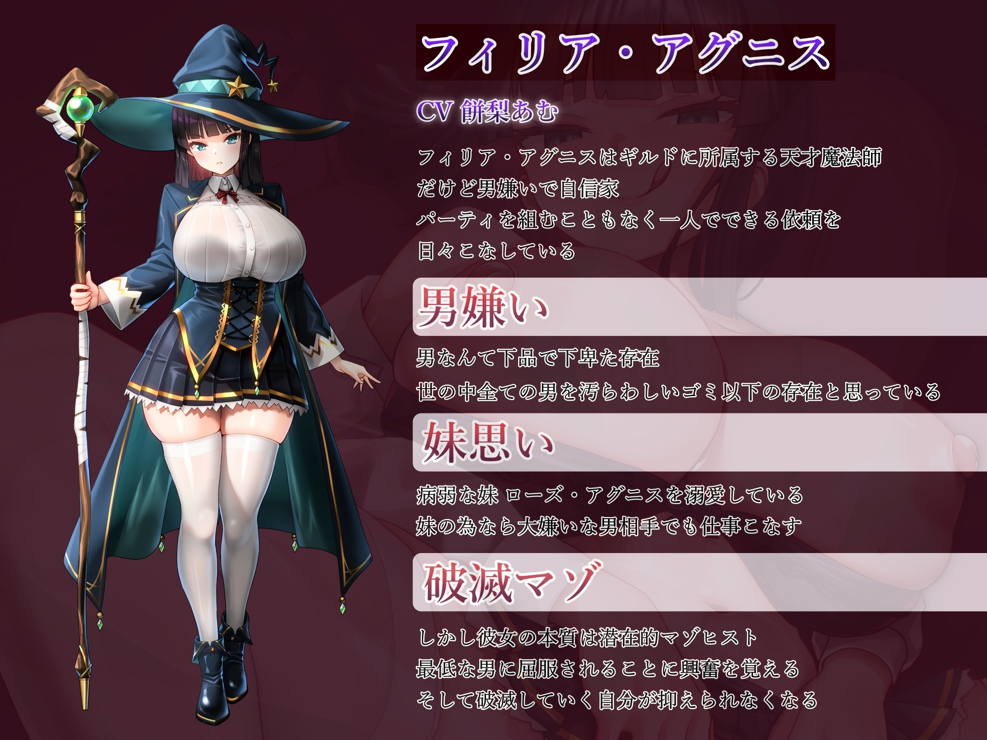 男嫌いの天才魔法師わからせ調教～究極の淫乱破滅マゾ堕ち～ 画像1