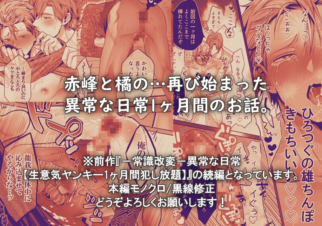 -常識改変-異常な日常[生意気ヤンキー1ヶ月間溺愛開発] 画像10