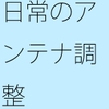 ついでにをちゃんと入れて・・・アンテナに混じった邪念を [サマールンルン]