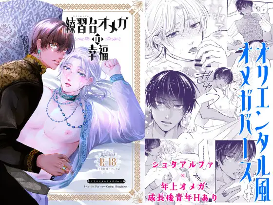 練習台オメガの幸福の表紙画像