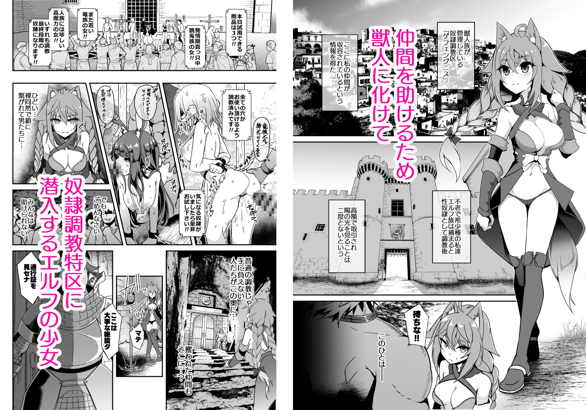 逃亡ELF11_1