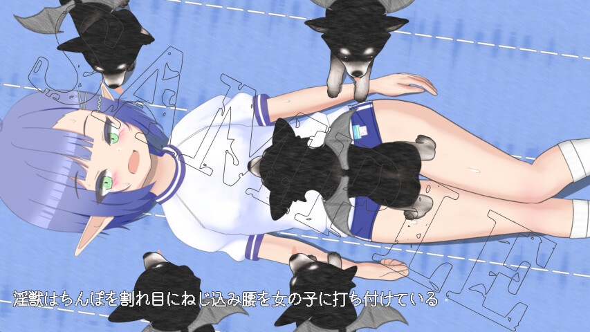 シーディング*ブルマーズ シーディング*ブルマーズ