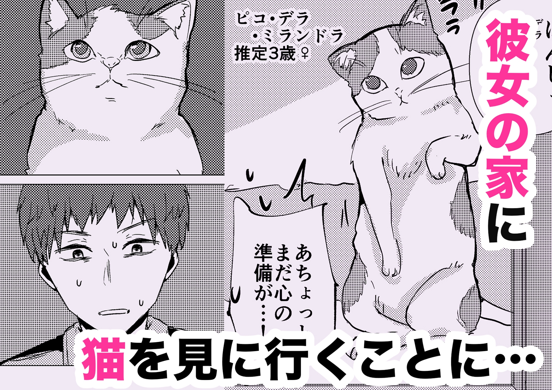 ウチに猫ちゃん見にこない? 画像3