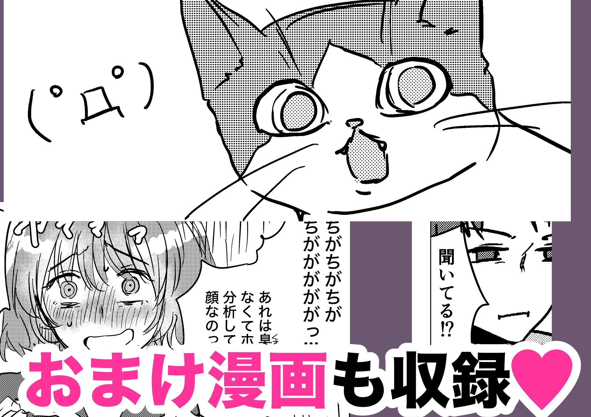 ウチに猫ちゃん見にこない? 画像9