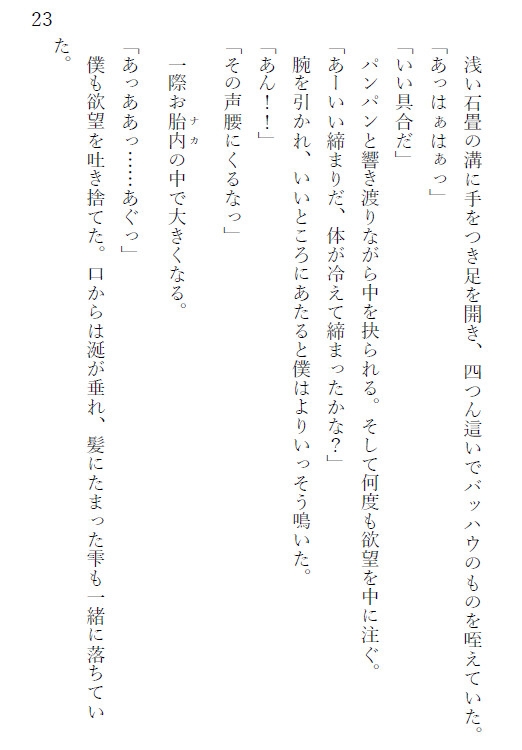 高貴なαは救われないΩを飼育する~リッツ王国物語~
