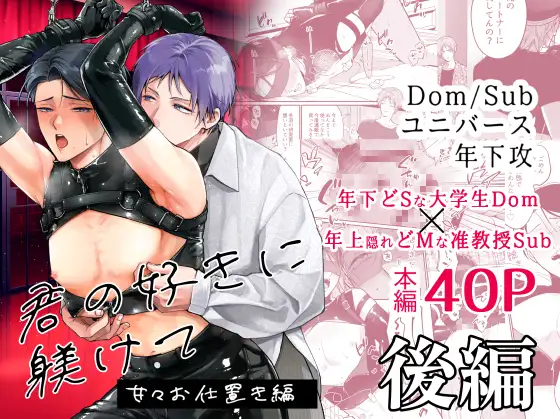 君の好きに躾けて～甘々お仕置き後編～の表紙画像