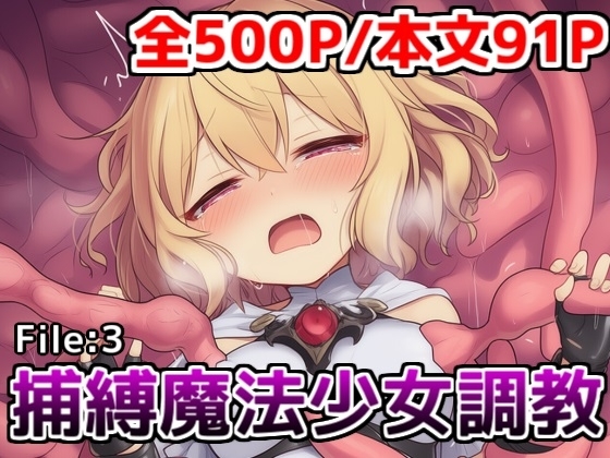 捕縛魔法少女調教File:3～魔法少女がアクメ魔法と丸吞み触手で悶絶イキ○問調教されちゃう話