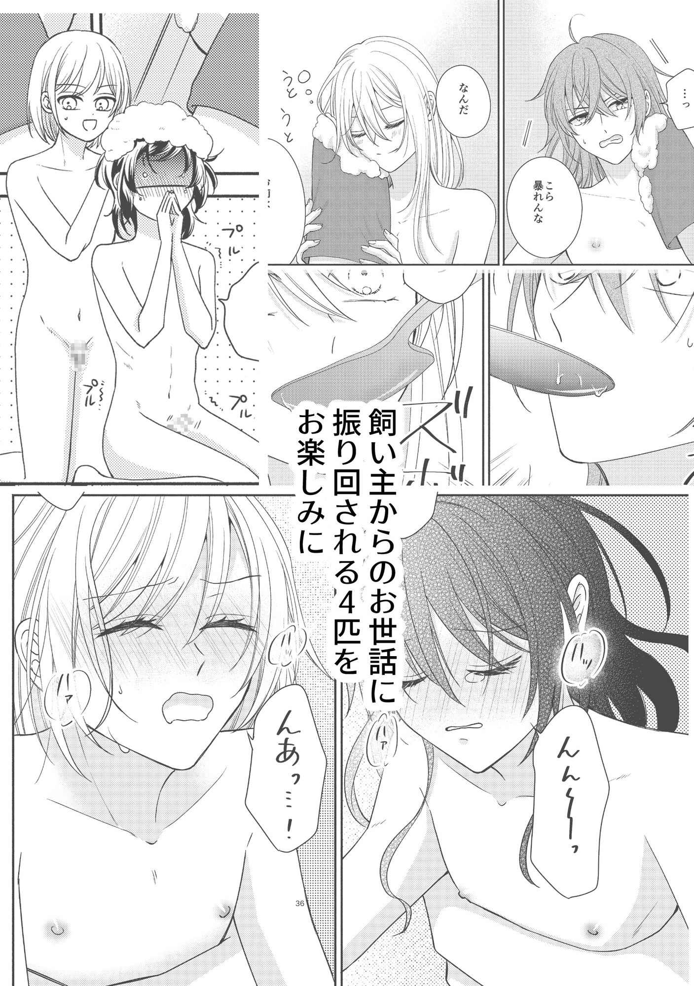ニンゲン飼育日記