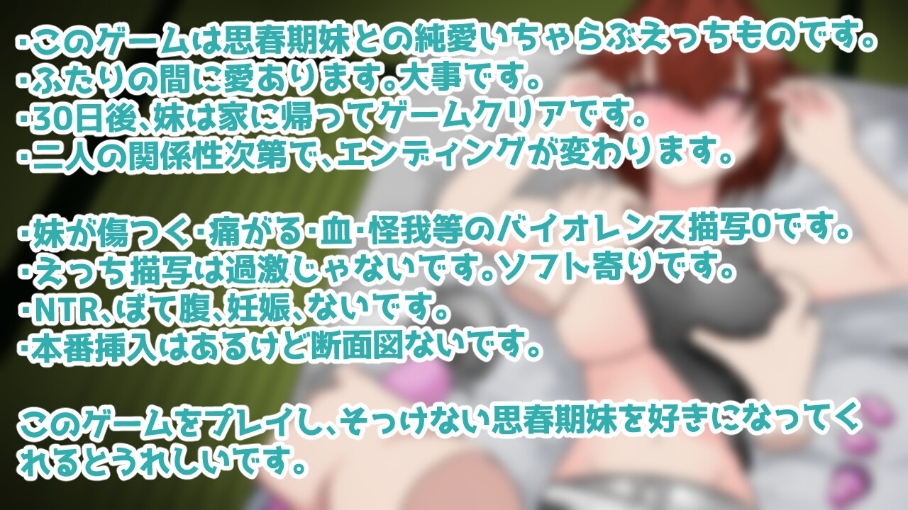 思春期妹とえっちな30日間 画像9